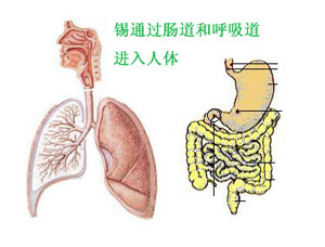 有機錫.jpg
